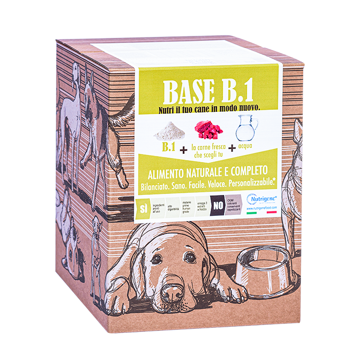 Base B1 La Nuova Alimentazione Naturale Per Il Tuo Cane Nutrigene